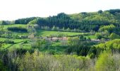 Excursión Bici de montaña La Tuilière - La Croix de l'Epinat (circuit N°14) - La Tuilière - Photo 4