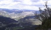 Tocht Stappen La Penne-sur-l'Ouvèze - Arrête du mont Bluye - Pierrelongue - Photo 3