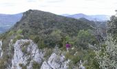 Trail Walking La Penne-sur-l'Ouvèze - Arrête du mont Bluye - Pierrelongue - Photo 2