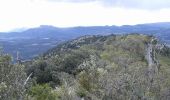 Tocht Stappen La Penne-sur-l'Ouvèze - Arrête du mont Bluye - Pierrelongue - Photo 1