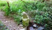 Tour Wandern Champoly - Le Bois des Côtes, les Gorges de Corbillon et le Château d'Urfé - Champoly - Photo 6