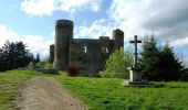 Excursión Senderismo Champoly - Le Bois des Côtes, les Gorges de Corbillon et le Château d'Urfé - Champoly - Photo 4