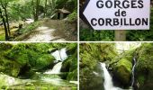 Excursión Senderismo Champoly - Le Bois des Côtes, les Gorges de Corbillon et le Château d'Urfé - Champoly - Photo 2