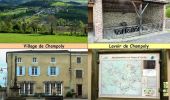 Randonnée Marche Champoly - Le Bois des Côtes, les Gorges de Corbillon et le Château d'Urfé - Champoly - Photo 1
