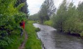 Tocht Stappen Palluel - Les marais autour de Palluel  - Photo 6