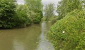 Tocht Stappen Palluel - Les marais autour de Palluel  - Photo 4