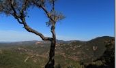 Tour Wandern Saint-Raphaël - Le tour du Pic du Cap Roux - St Raphaël (Agay) - Photo 5