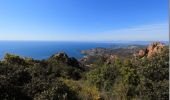 Excursión Senderismo Saint-Raphaël - Le tour du Pic du Cap Roux - St Raphaël (Agay) - Photo 4