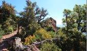 Tour Wandern Saint-Raphaël - Le tour du Pic du Cap Roux - St Raphaël (Agay) - Photo 1