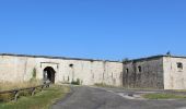 Excursión Carrera Besançon - Trail des Forts de Besançon - Photo 1