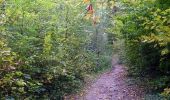 Trail Walking Lagny-sur-Marne - La Thorignienne - Thorigny-sur-Marne - Photo 1