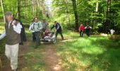 Trail Walking Lichtenberg - Autour du château de Lichtenberg - Photo 5