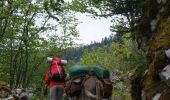 Trail Walking Saint-Martin-en-Vercors - Les Hauts Plateaux du Vercors en âne - Etape 1 - Photo 4