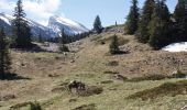 Randonnée Marche Saint-Andéol - Les Hauts Plateaux du Vercors en âne - Etape 2 - Photo 4