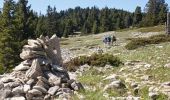 Trail Walking Saint-Andéol - Les Hauts Plateaux du Vercors en âne - Etape 2 - Photo 3