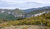 Trail Walking Caussols - Traversée du Gros Pounch 1270 m, depuis le Col de la Sine - Photo 1