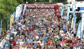 Tocht Lopen La Ville-aux-Clercs - Sur les Traces du Loup - La Ville aux Clercs - Photo 2