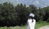Tour Mountainbike Le Poujol-sur-Orb - Poujol sur Orb à Cornas et Tarrassac - Photo 3