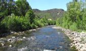 Tour Mountainbike Le Poujol-sur-Orb - Poujol sur Orb à Cornas et Tarrassac - Photo 6