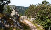 Trail Walking Munster - De Munster aux 3 Fours (Aller) - Munster - Photo 3