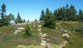 Trail Walking Stosswihr - De Munster aux 3 Fours (Retour) - Stosswihr - Photo 3