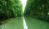 Trail Walking Damazan - La bastide du Canal de Garonne - Damazan - Photo 4