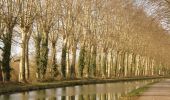 Trail Walking Damazan - La bastide du Canal de Garonne - Damazan - Photo 3
