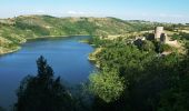 Tocht Mountainbike Villerest - Les Gorges de la Loire et la Gorge du Lourdon - Villerest-Champlong - Photo 6