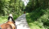 Tour Pferd Fontenois-la-Ville - En roulotte de Fontenois-la-Ville à La-Basse-Vaivre - Photo 6