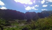 Trail Walking Entre-Deux - La Réunion - Boucle de l'Entre-Deux par les sentiers - Photo 15