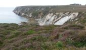 Tocht Stappen Camaret-sur-Mer - GR 34 étape 39 - Photo 5