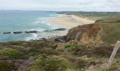 Tocht Stappen Camaret-sur-Mer - GR 34 étape 39 - Photo 3