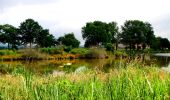 Randonnée Marche Gouzon - vers les étangs de thiolet - Photo 13