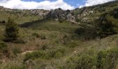 Trail Walking Gigean - Circuit massif de la Gardiole - Photo 2