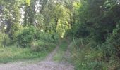 Trail Walking Azay-le-Rideau - azay le rideau (les vergers) - Photo 8