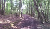 Trail Walking Azay-le-Rideau - azay le rideau (les vergers) - Photo 1