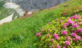 Tocht Stappen Villard-de-Lans - la conversaria -plateau du cornafion - Photo 2