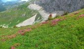 Tocht Stappen Villard-de-Lans - la conversaria -plateau du cornafion - Photo 3