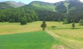 Tocht Stappen Villard-de-Lans - la conversaria -plateau du cornafion - Photo 4