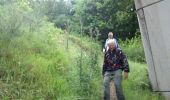 Trail Walking Merlines - Eygurande-140702 - Lagarde-Chavanon - Photo 1