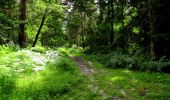 Trail Walking Longpont - en forêt de Retz_25_Longpont_MF du Buchet_AR - Photo 14