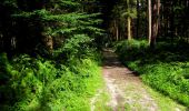 Trail Walking Longpont - en forêt de Retz_25_Longpont_MF du Buchet_AR - Photo 13