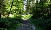 Randonnée Marche Longpont - en forêt de Retz_25_Longpont_MF du Buchet_AR - Photo 15