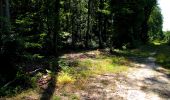 Trail Walking Longpont - en forêt de Retz_25_Longpont_MF du Buchet_AR - Photo 18