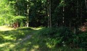 Tour Wandern Longpont - en forêt de Retz_25_Longpont_MF du Buchet_AR - Photo 20
