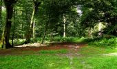 Tocht Stappen Longpont - en forêt de Retz_25_Longpont_MF du Buchet_AR - Photo 17