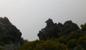 Trail Walking Les Trois-Bassins - La Réunion - Retour Grand Bénard par la glacière - Photo 18