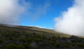 Tour Wandern Les Trois-Bassins - La Réunion - Retour Grand Bénard par la glacière - Photo 15