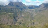 Trail Walking Les Trois-Bassins - La Réunion - Retour Grand Bénard par la glacière - Photo 2
