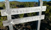 Trail Walking Saint-Paul - La Réunion - Boucle du Grand Bénard par le Maïdo. - Photo 2